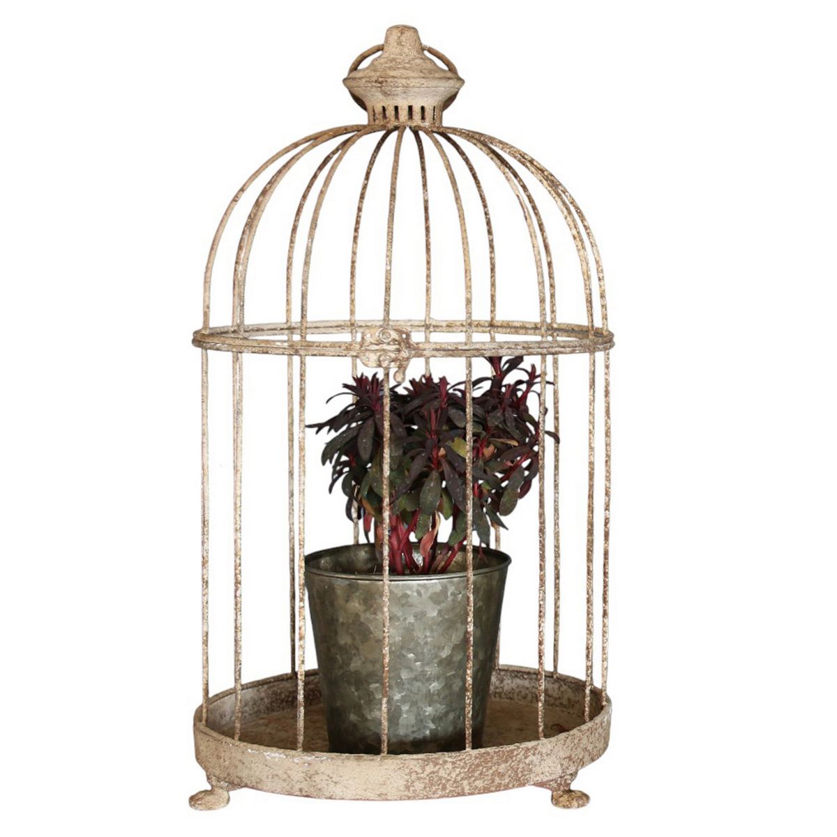 SOW/アンクブリキバードケージ サークル Lサイズ/DLMM3000L