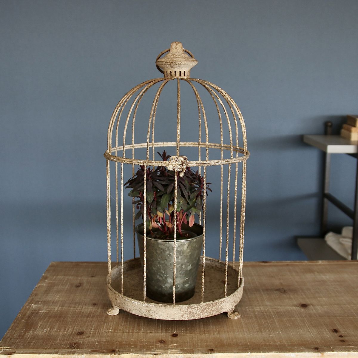 SOW/アンクブリキバードケージ サークル Lサイズ/DLMM3000L