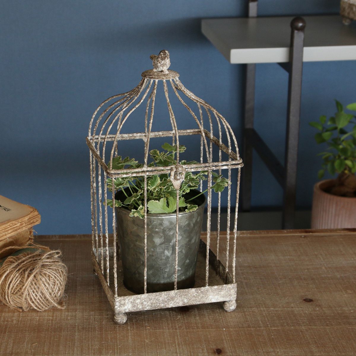 SOW/アンクブリキバードケージ スクエア Mサイズ/DLMM4000M