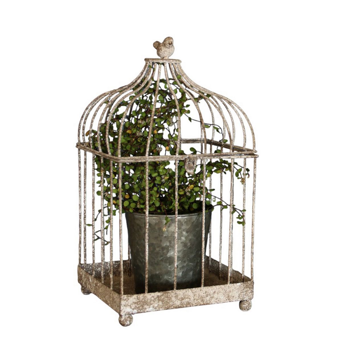 SOW/アンクブリキバードケージ スクエア Lサイズ/DLMM4000L