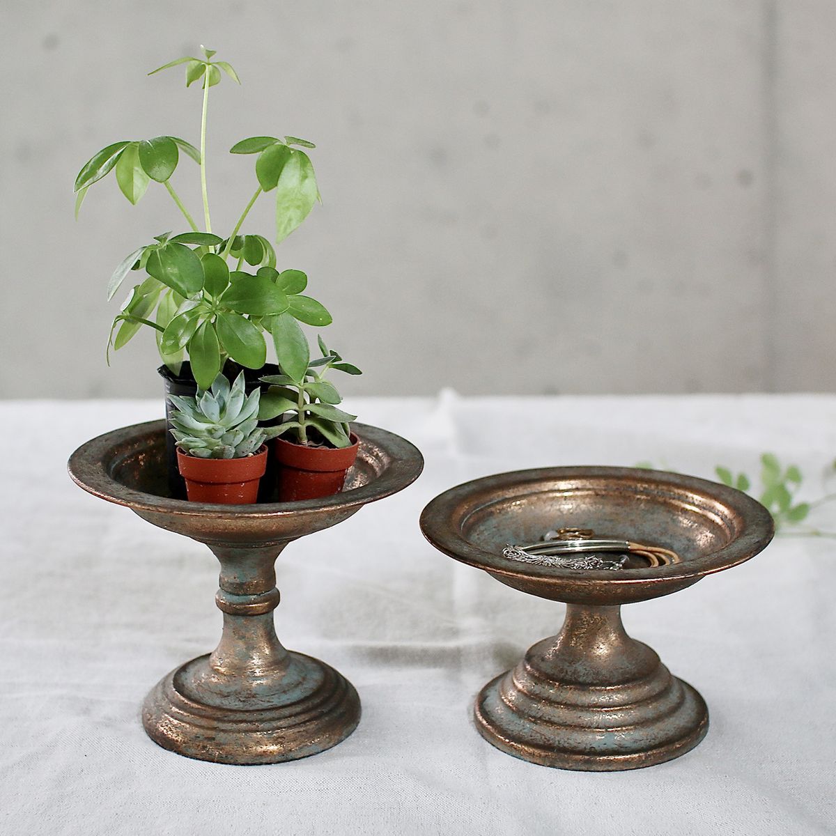 SOW/アンクブリキカップトレイ XLサイズ/DLMM0003XL