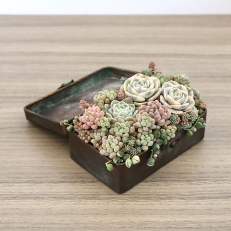 SOW/ブリキミニボックス ブロンズ Mサイズ/DLMM1300M