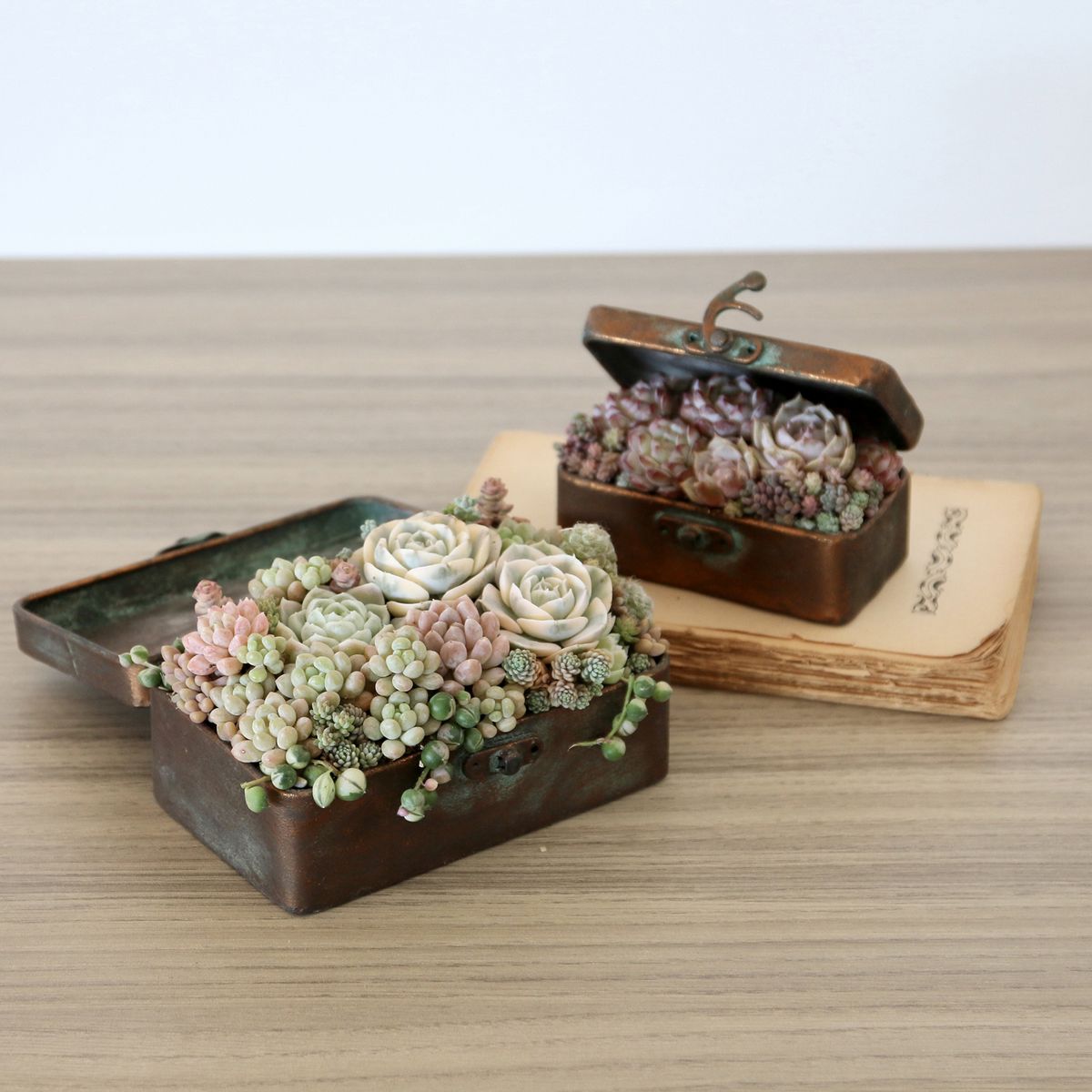 SOW/ブリキミニボックス ブロンズ Mサイズ/DLMM1300M