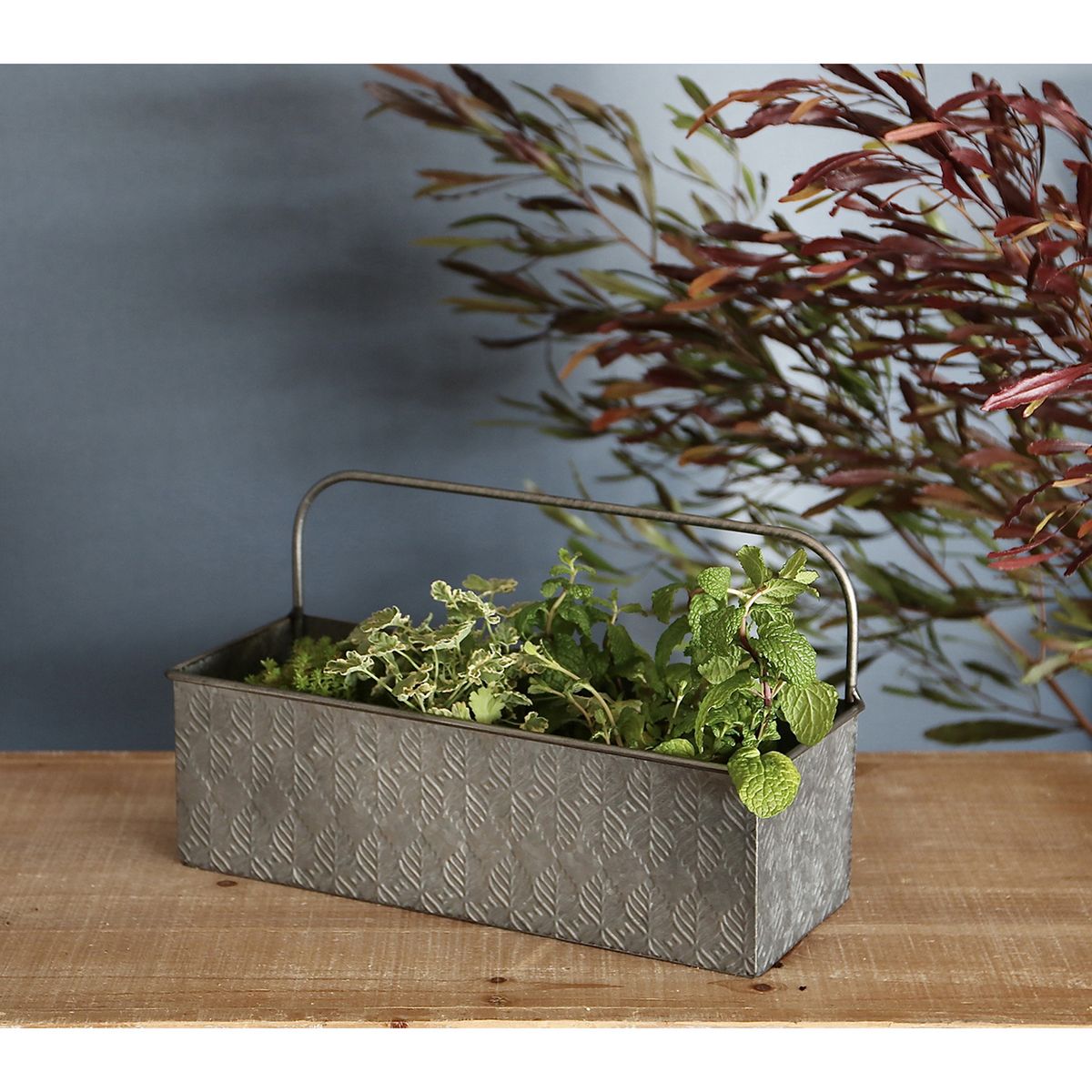 SOW/ノルディックリーフ ハンドルプランターリーフ Sサイズ/FJGG2701