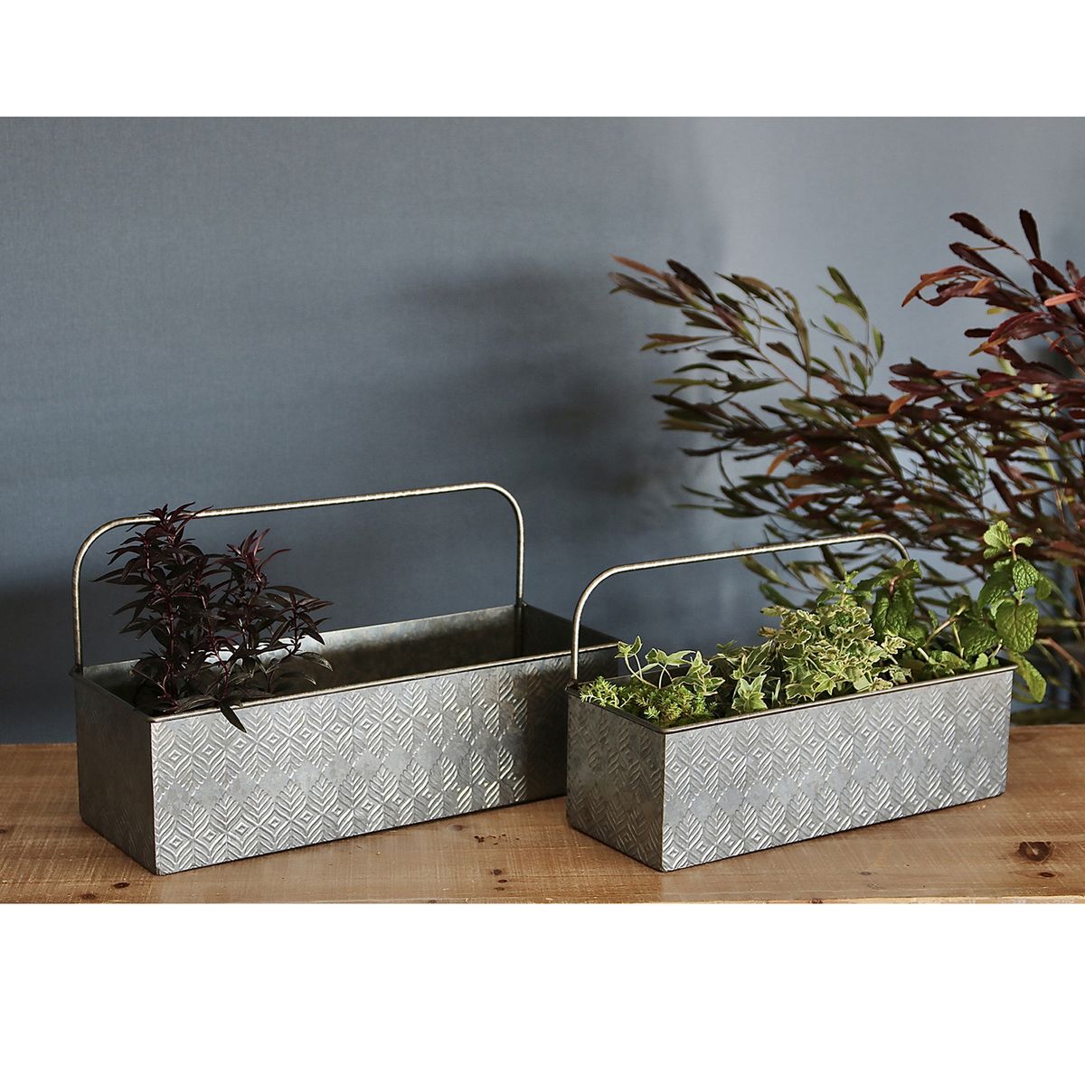 SOW/ノルディックリーフ ハンドルプランターリーフ Sサイズ/FJGG2701