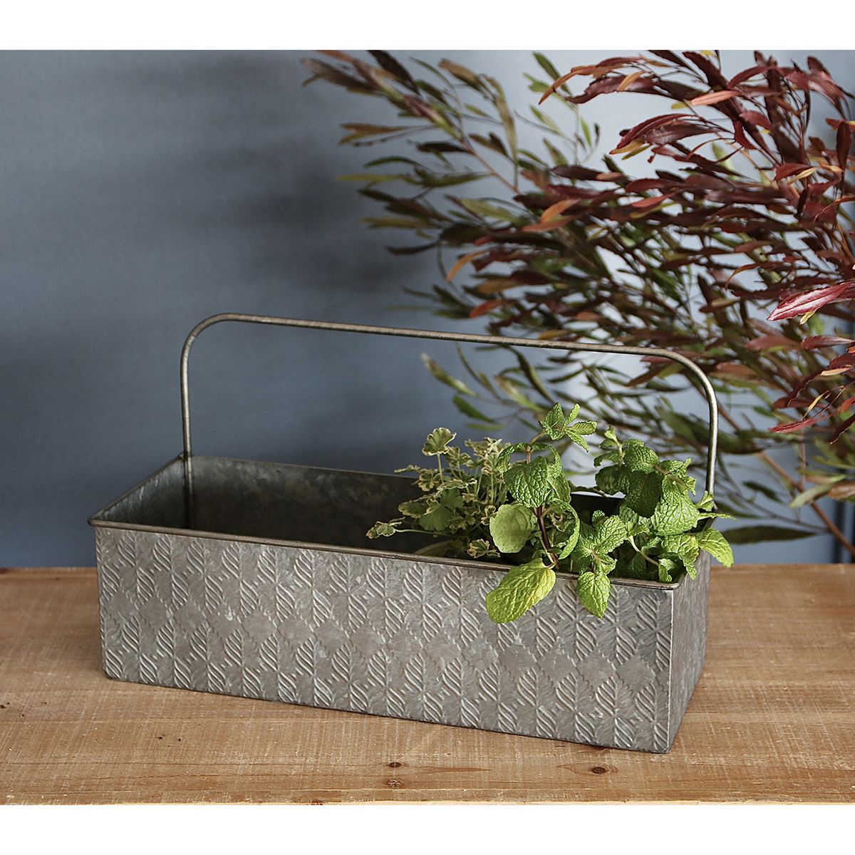 SOW/ノルディックリーフ ハンドルプランターリーフ Lサイズ/FJGG2702