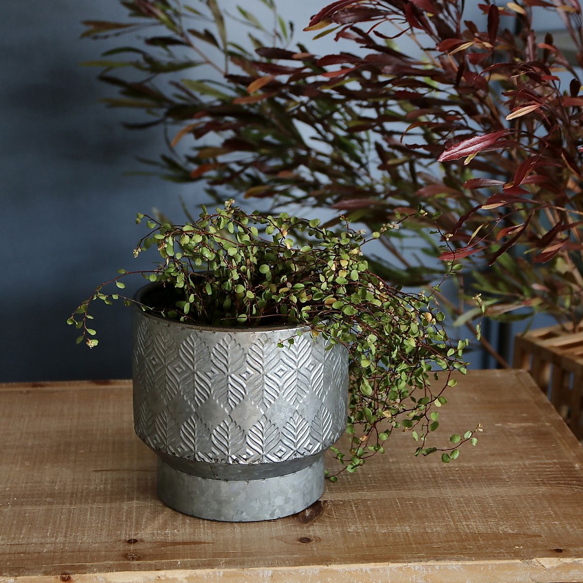 SOW/ノルディックリーフ ポットリーフ Sサイズ/FJGG2712