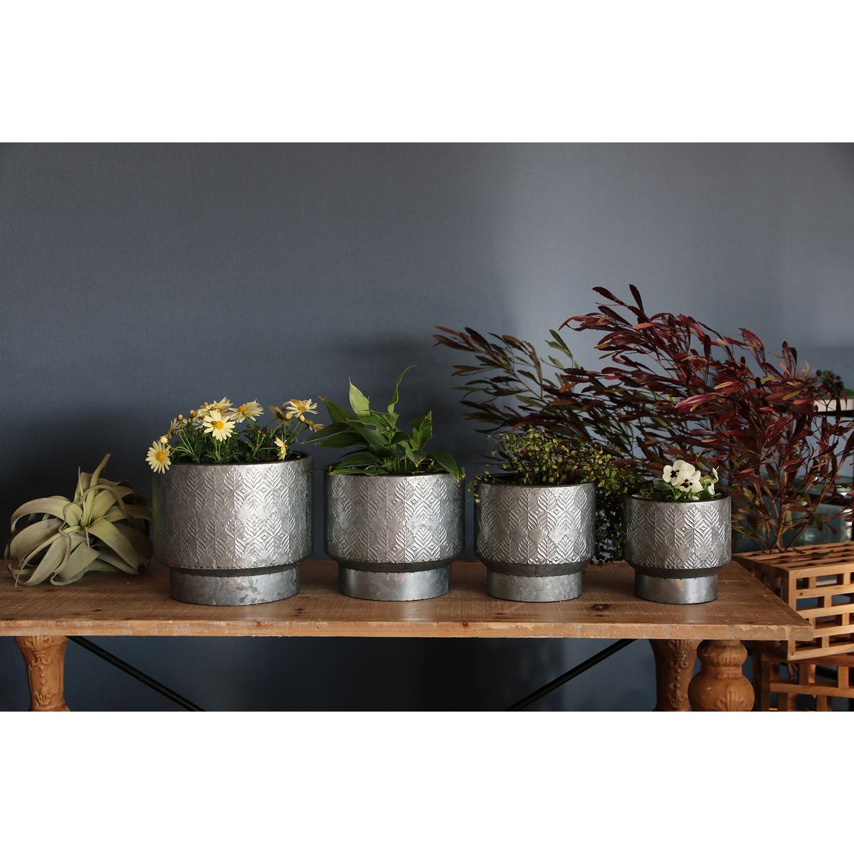 SOW/ノルディックリーフ ポットリーフ Mサイズ/FJGG2713