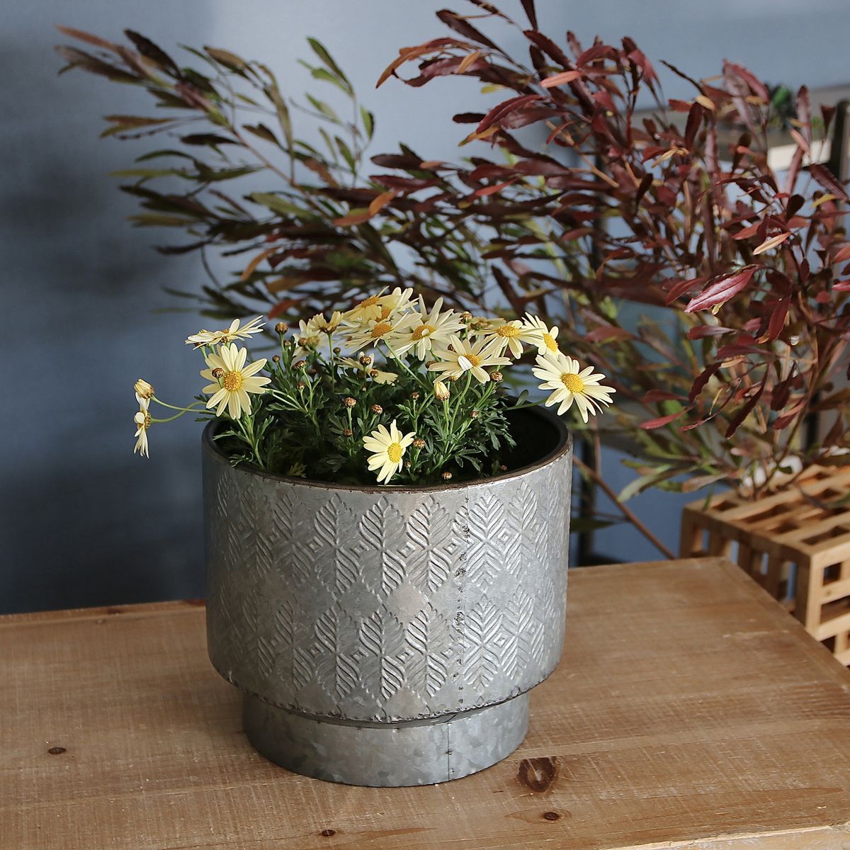 SOW/ノルディックリーフ ポットリーフ Lサイズ/FJGG2714