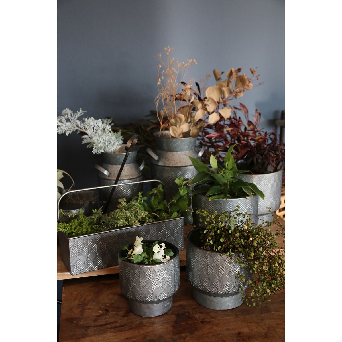 SOW/ノルディックリーフ ポットリーフ Lサイズ/FJGG2714