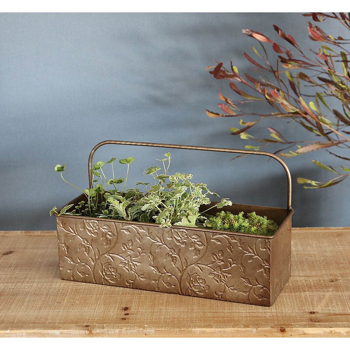 SOW/ノルディックリーフ ハンドルプランター ローズ Sサイズ/FJGG2601