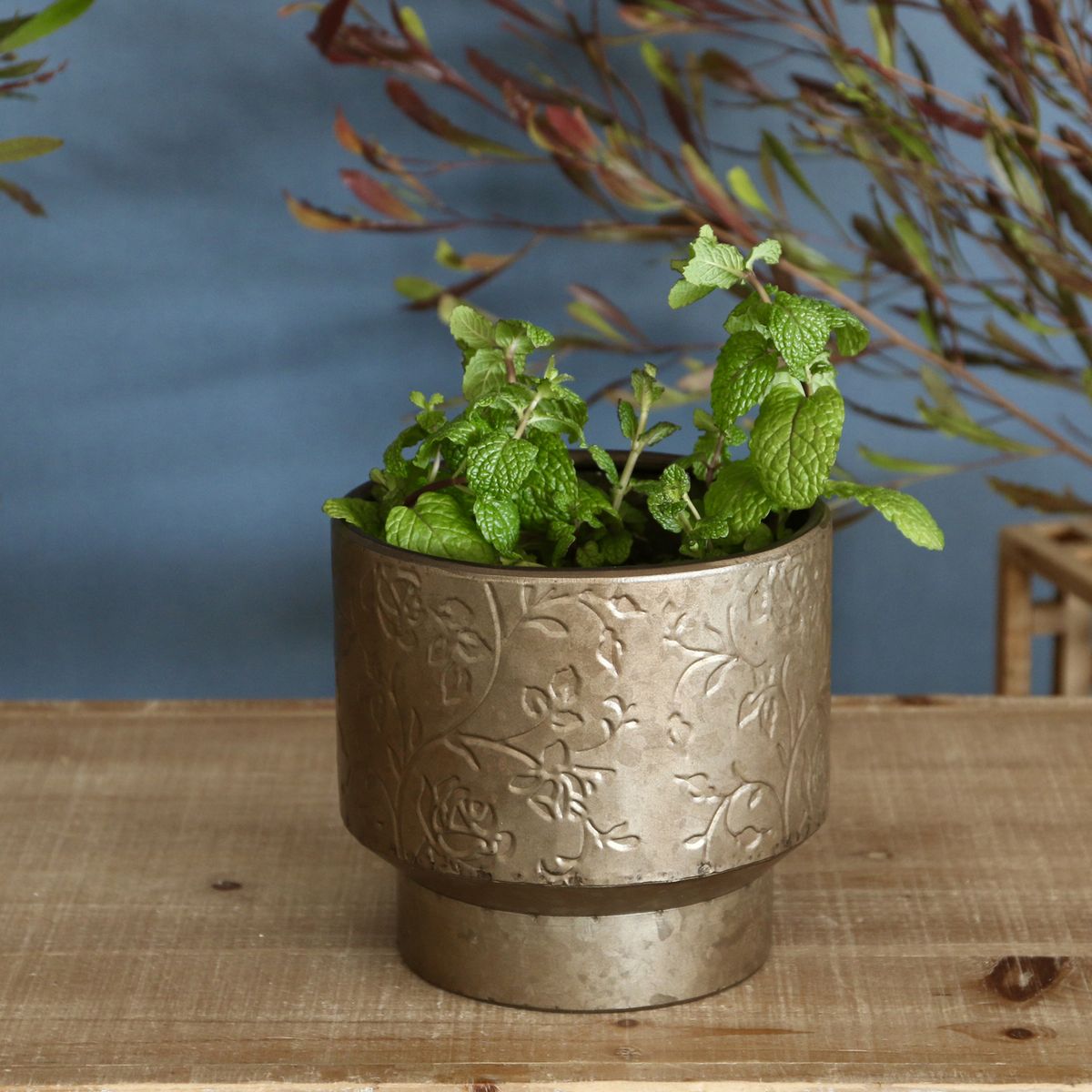 SOW/ノルディックリーフ ポットローズ Sサイズ/FJGG2612