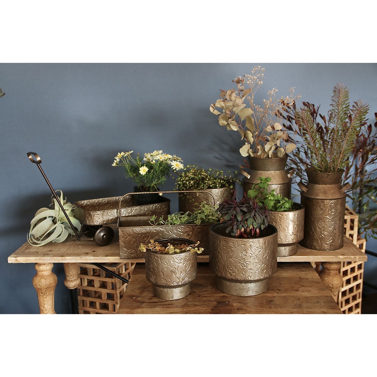 SOW/ノルディックリーフ ポットローズ Mサイズ/FJGG2613