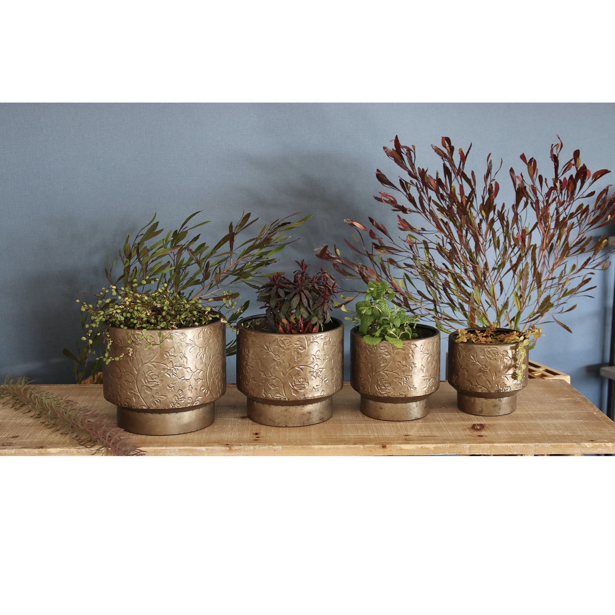 SOW/ノルディックリーフ ポット ローズ Lサイズ/FJGG2614