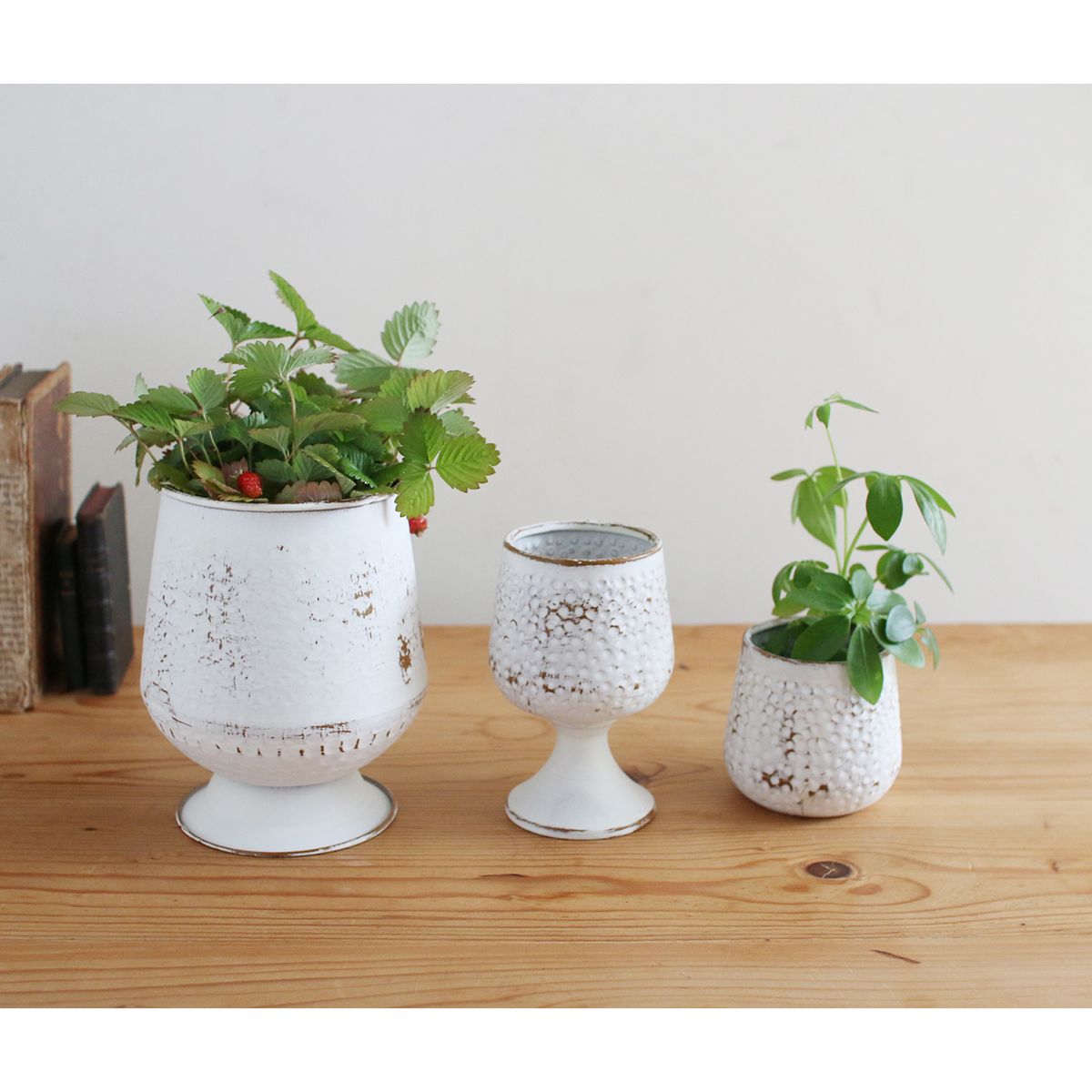 SOW/デルブリキポット ステムポット WS/DLMM5001WS