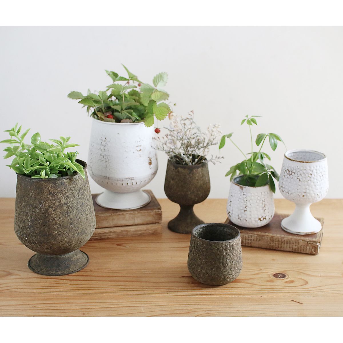 SOW/デルブリキポット ステムポット AQ/DLMM5001AQ