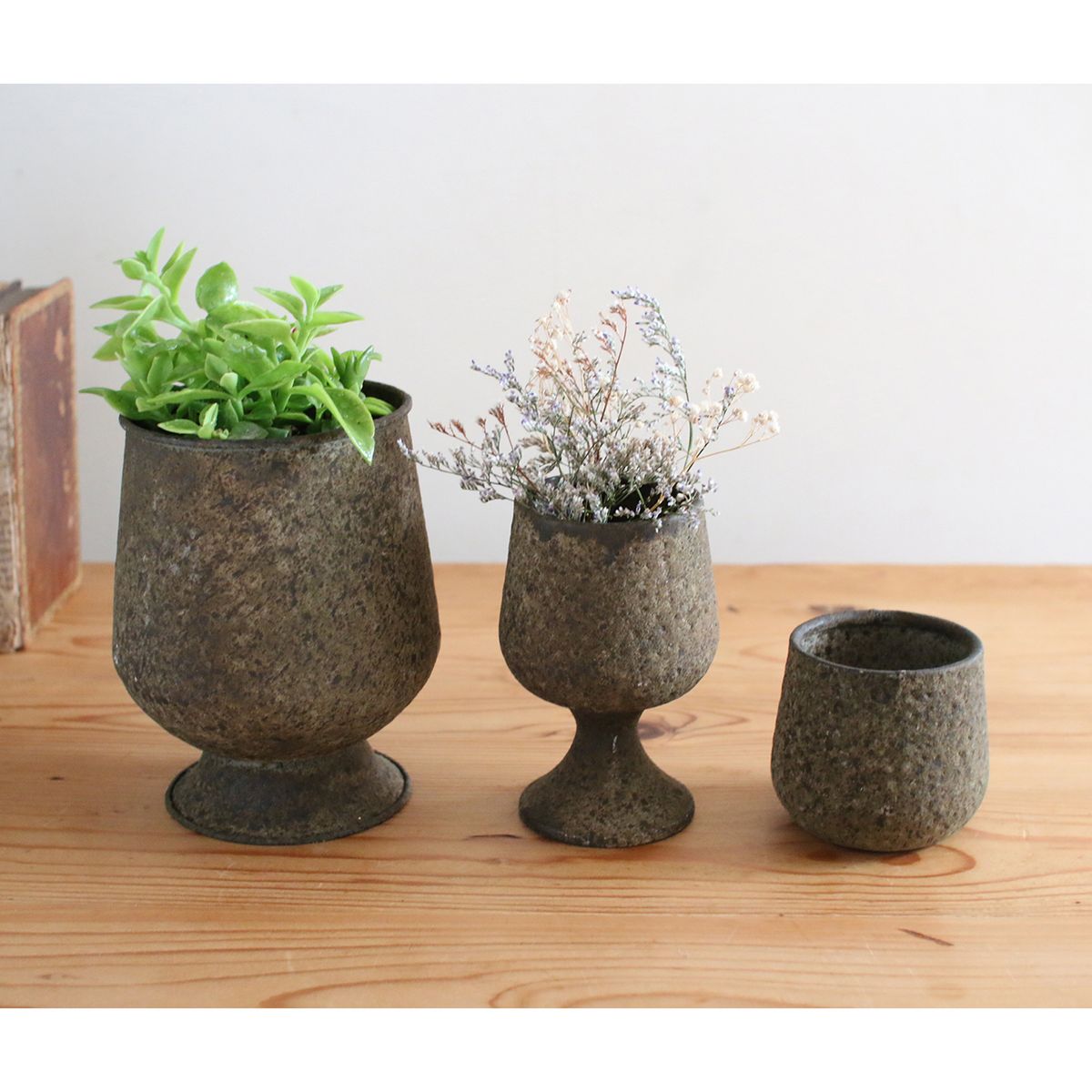 SOW/デルブリキポット ステムカップ AQ/DLMM5002AQ