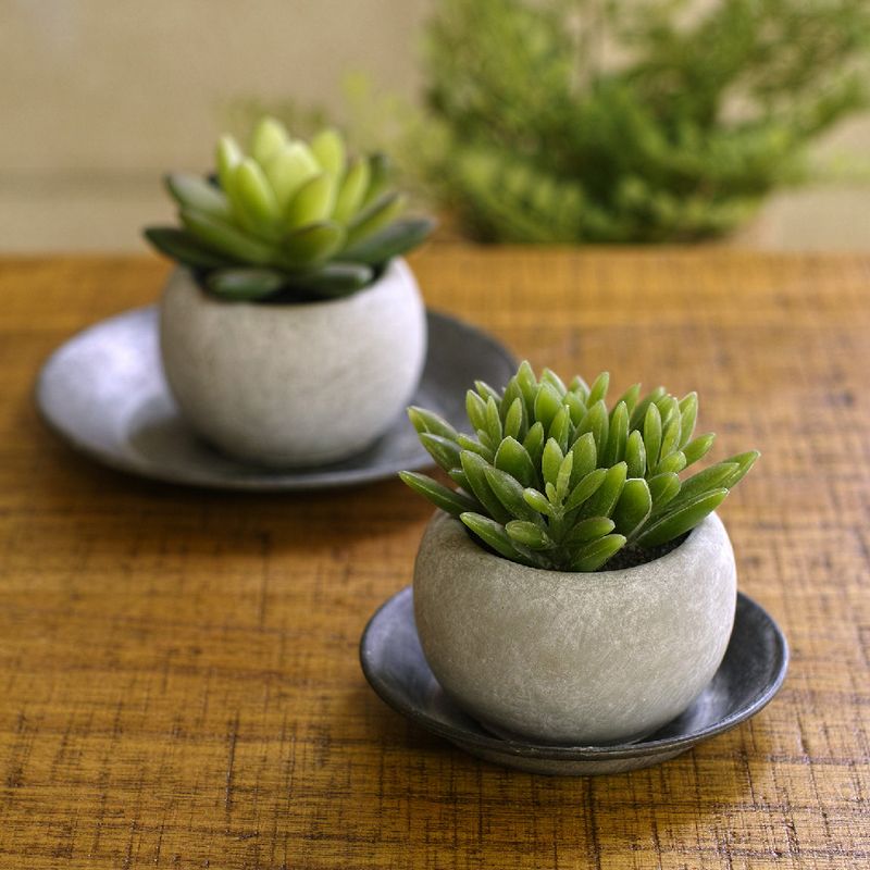 SOW/ブリキラウンドトレイ XSサイズ/BAGT1641SW