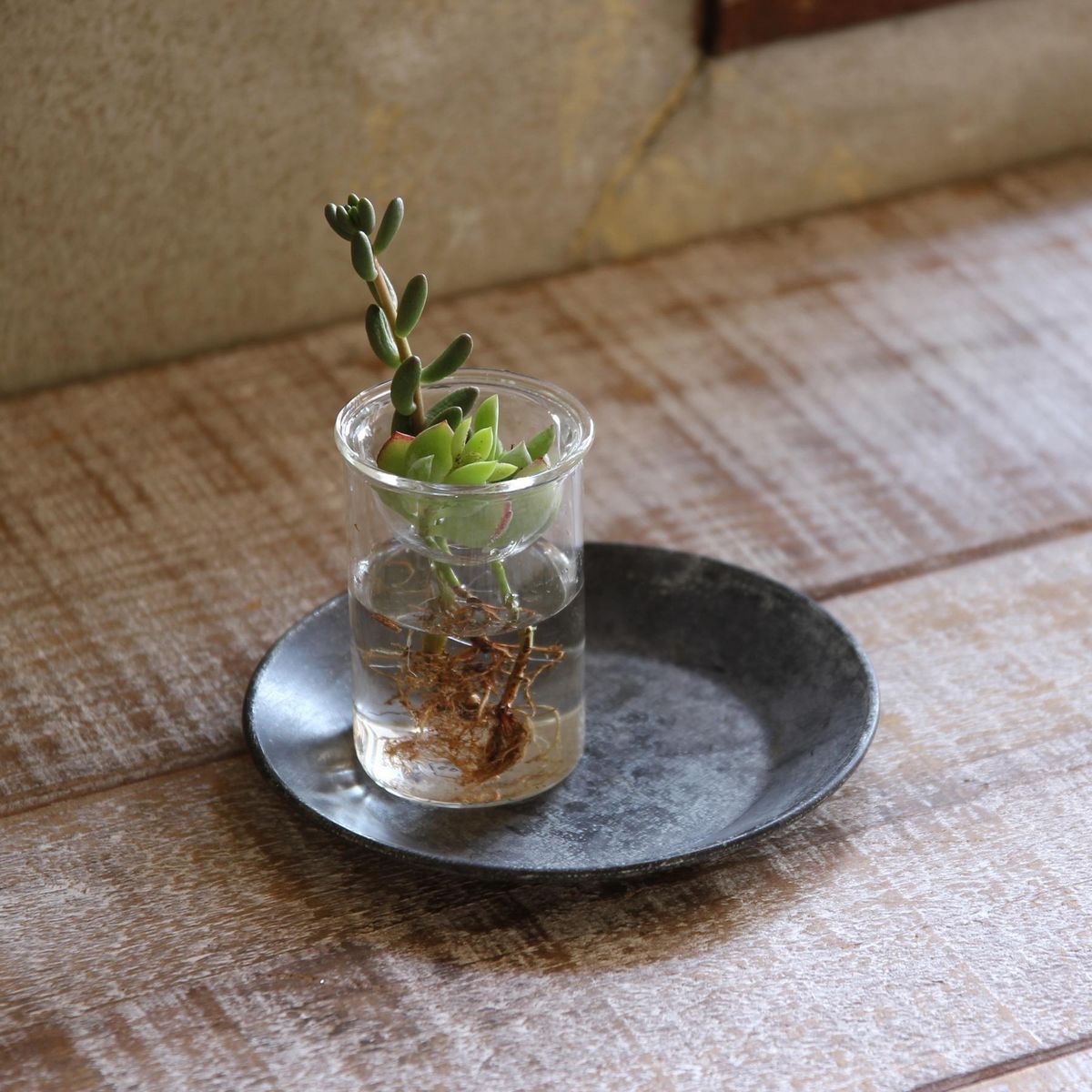 SOW/ブリキラウンドトレイ Sサイズ/BAGT1642SW