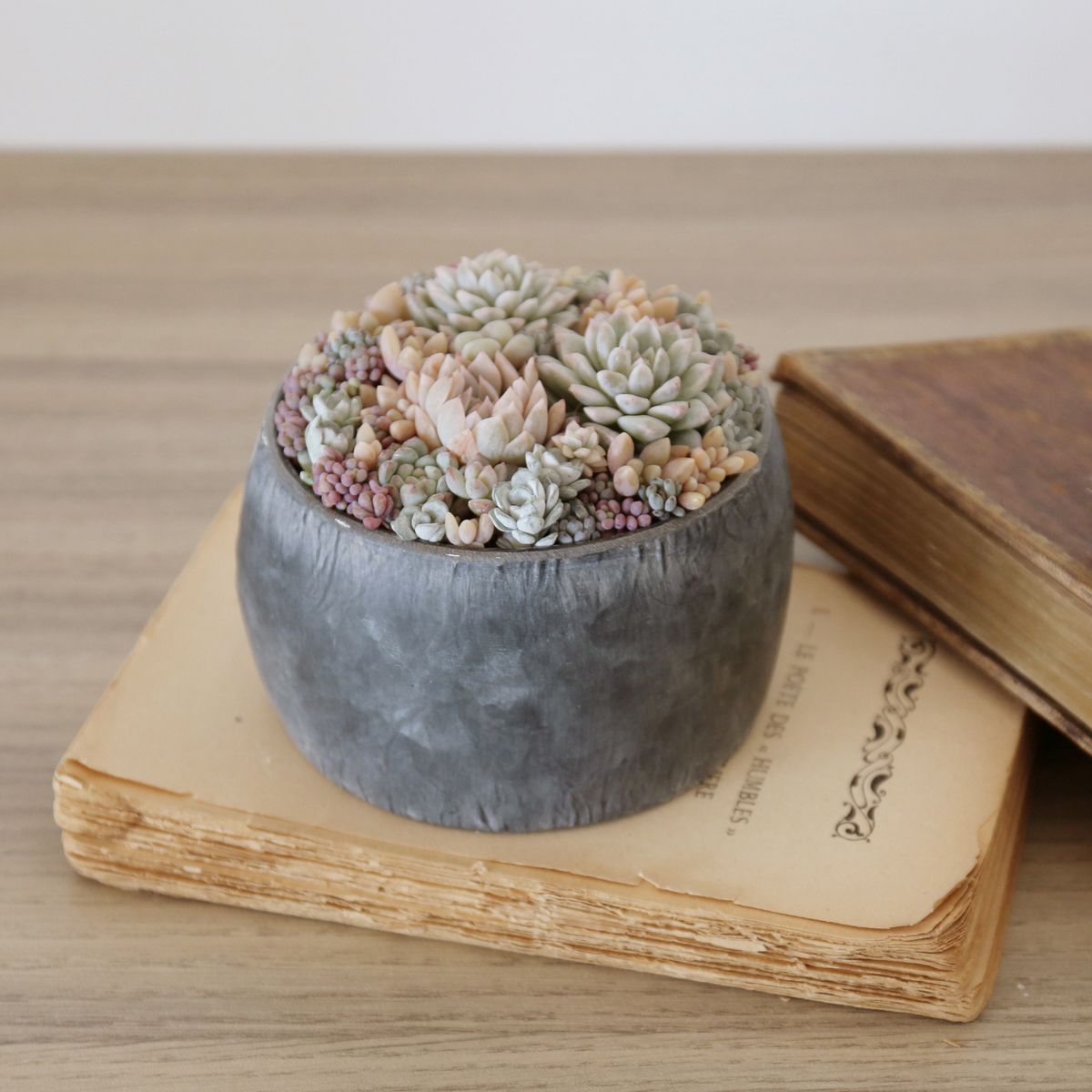 SOW/ブリキプランター ラウンド XXSサイズ/BAGP1001XXS