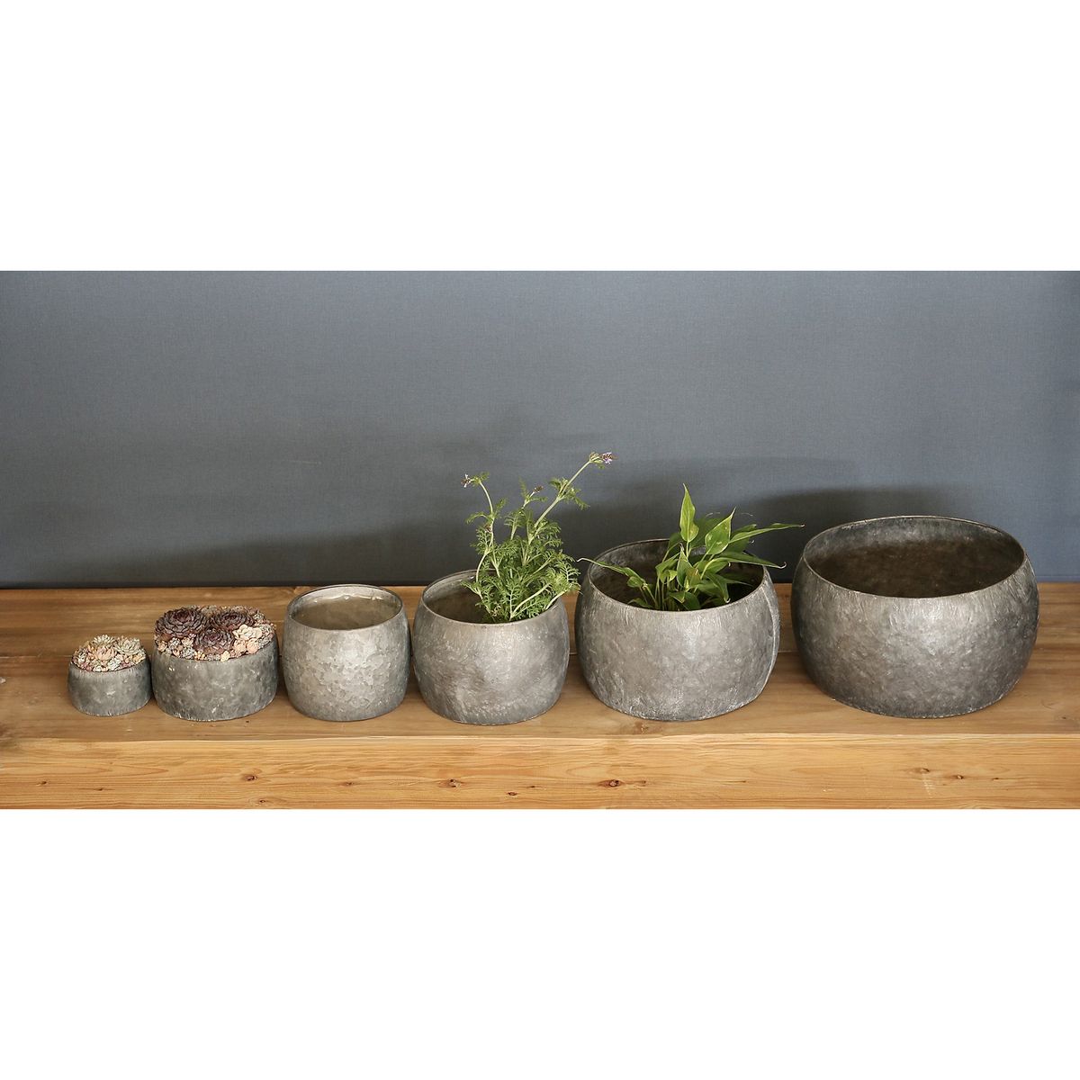 SOW/ブリキプランター ラウンド XSサイズ/BAGP1001XS