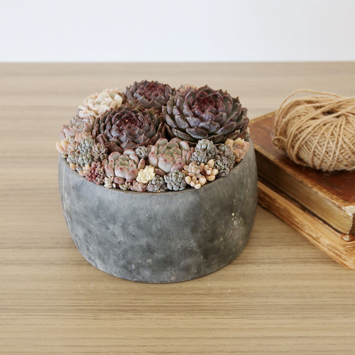 SOW/ブリキプランター ラウンド XSサイズ/BAGP1001XS