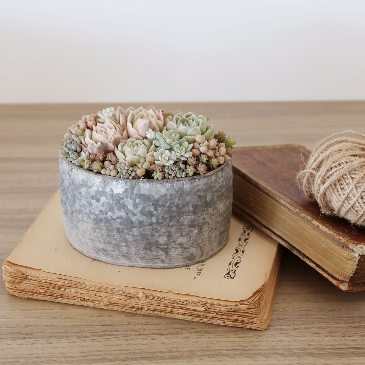 SOW/ブリキプランター オーバル XSサイズ/BAGP1002XS