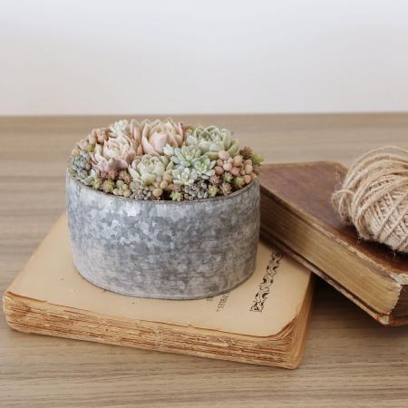 SOW/ブリキプランター オーバル XSサイズ/BAGP1002XS