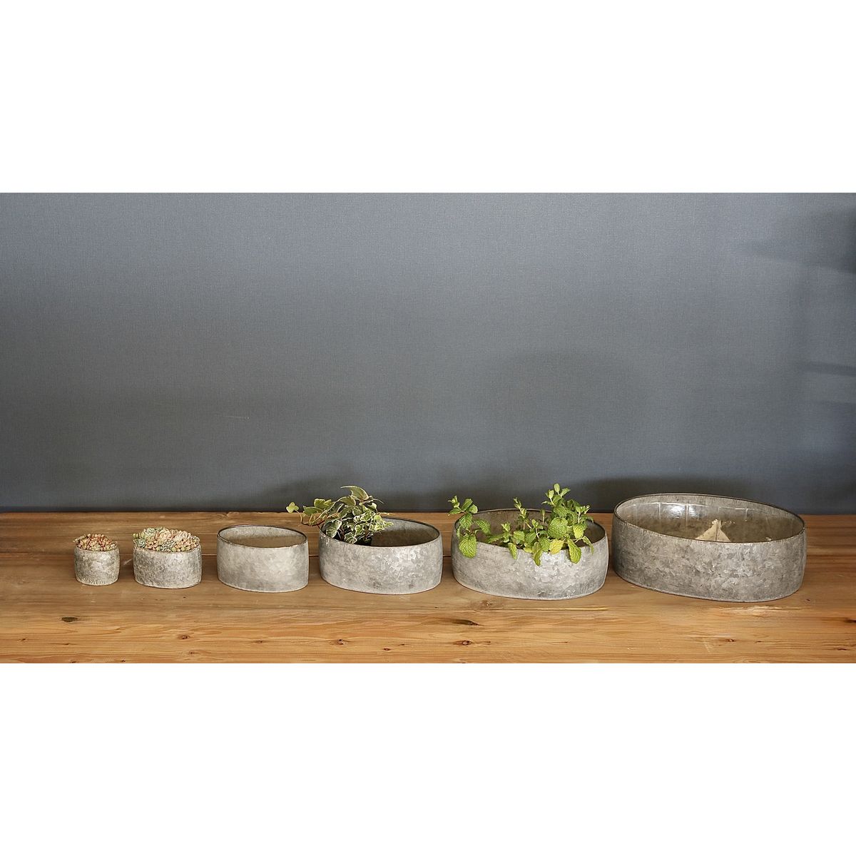 SOW/ブリキプランター オーバル XSサイズ/BAGP1002XS