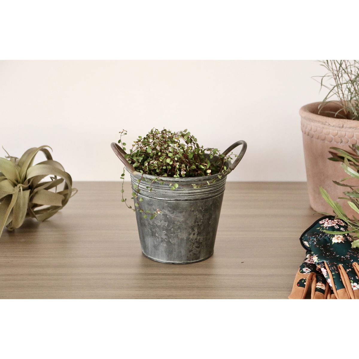 SOW/ブリキハンドルポット XLサイズ/BAGP1003XL