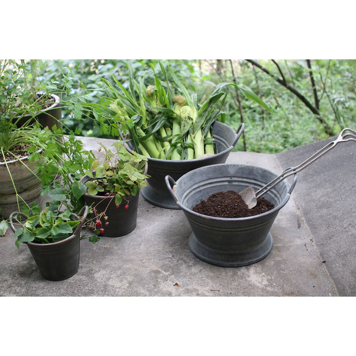 SOW/ブリキハンドルバケツ Sサイズ/BAGP1004S