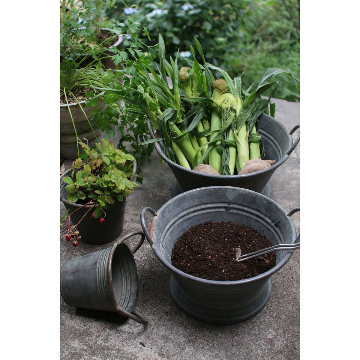 SOW/ブリキハンドルバケツ Lサイズ/BAGP1004L