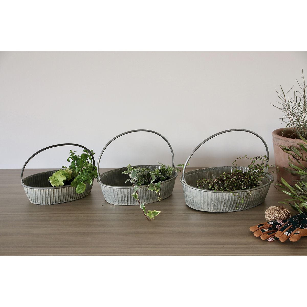 SOW/ブリキハンドル付きオーバルトレイ XSサイズ/BAGS2220SW