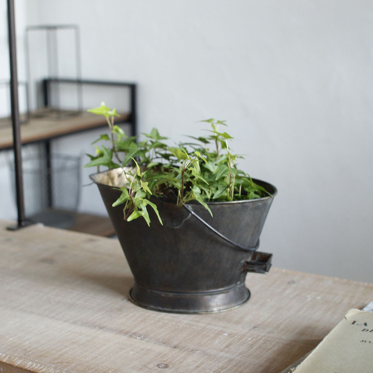 SOW/Deep Bloom ワンハンドルブリキオーバルバケツ Sサイズ/DTDT6051SW