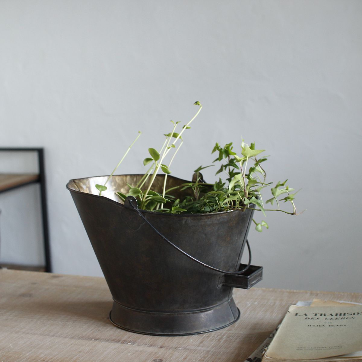 SOW/Deep Bloom ワンハンドルブリキオーバルバケツ Lサイズ/DTDT6053SW