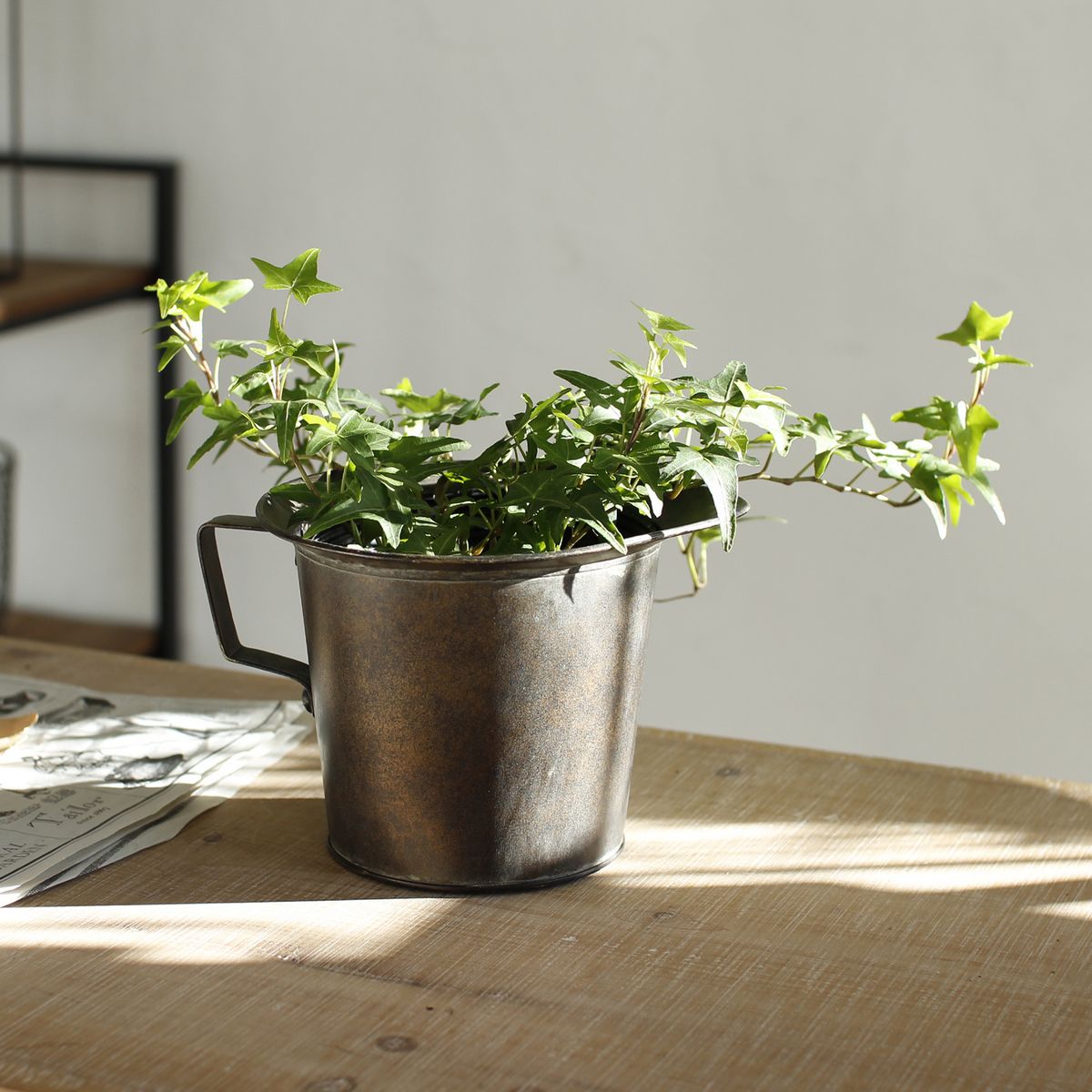 SOW/Deep Bloom ハンドルブリキピッチャーバケツ Lサイズ/DTDT6063SW