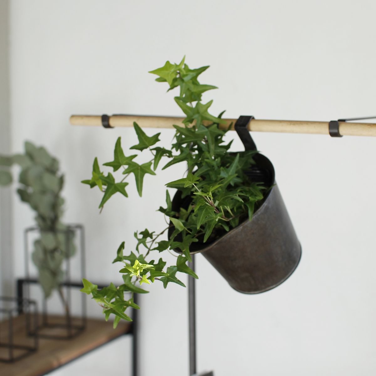 SOW/Deep Bloom ブリキフックポット Lサイズ/DTDT6073SW