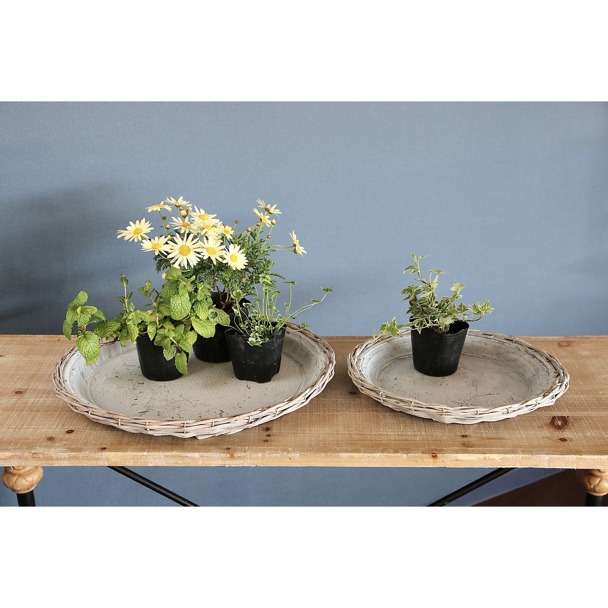 SOW/かご編みアンティークプレート 32cm/LGC0001