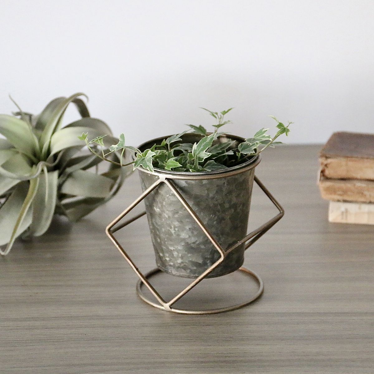 SOW/ブリキポットスタンド付き Mサイズ/BAGG2001M