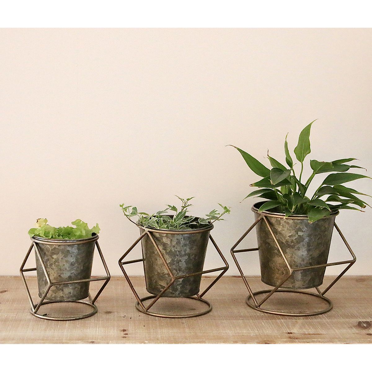 SOW/ブリキポットスタンド付き Mサイズ/BAGG2001M