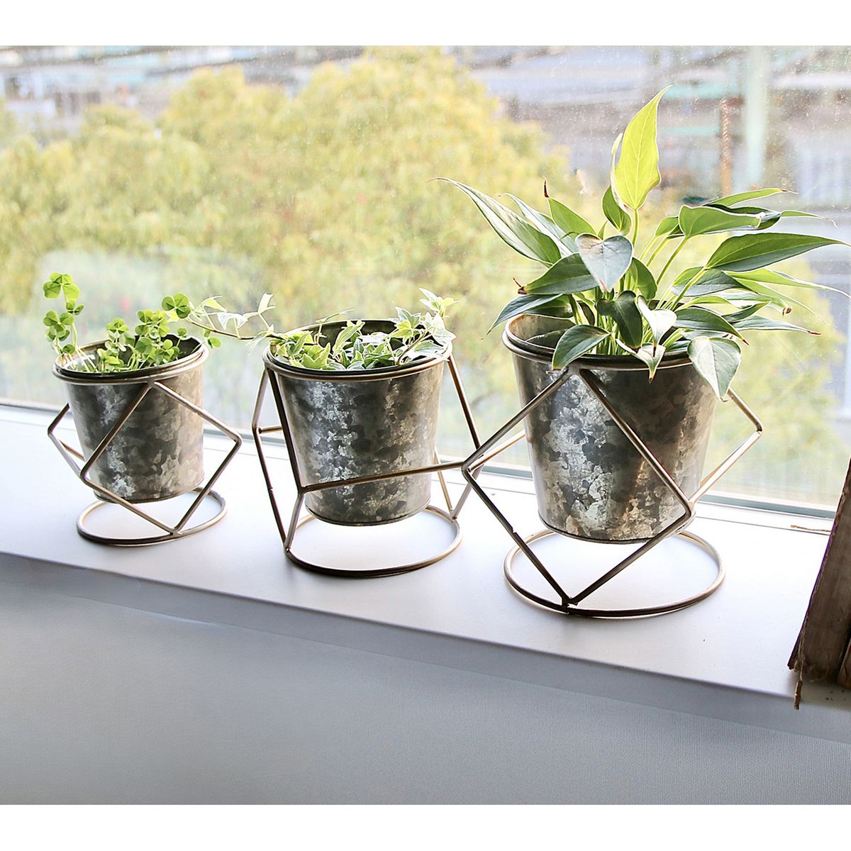 SOW/ブリキポットスタンド付き Mサイズ/BAGG2001M