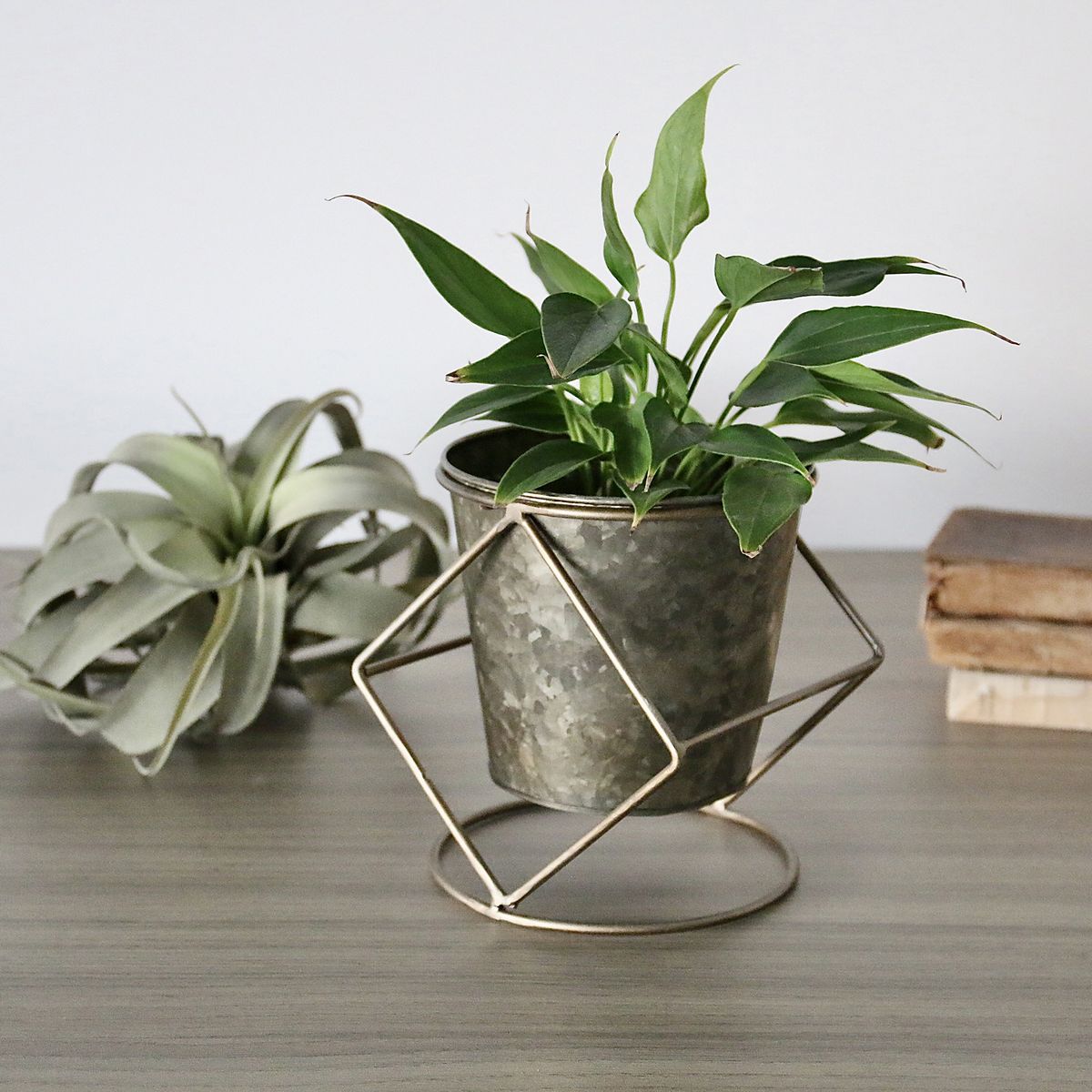 SOW/ブリキポットスタンド付き Lサイズ/BAGG2001L