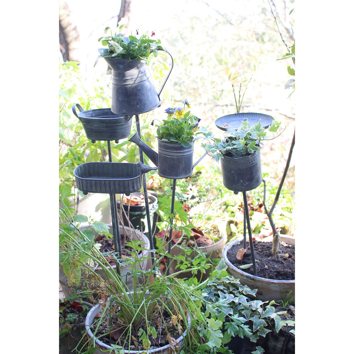 SOW/ブリキガーデンピック バードB/BAGG1002