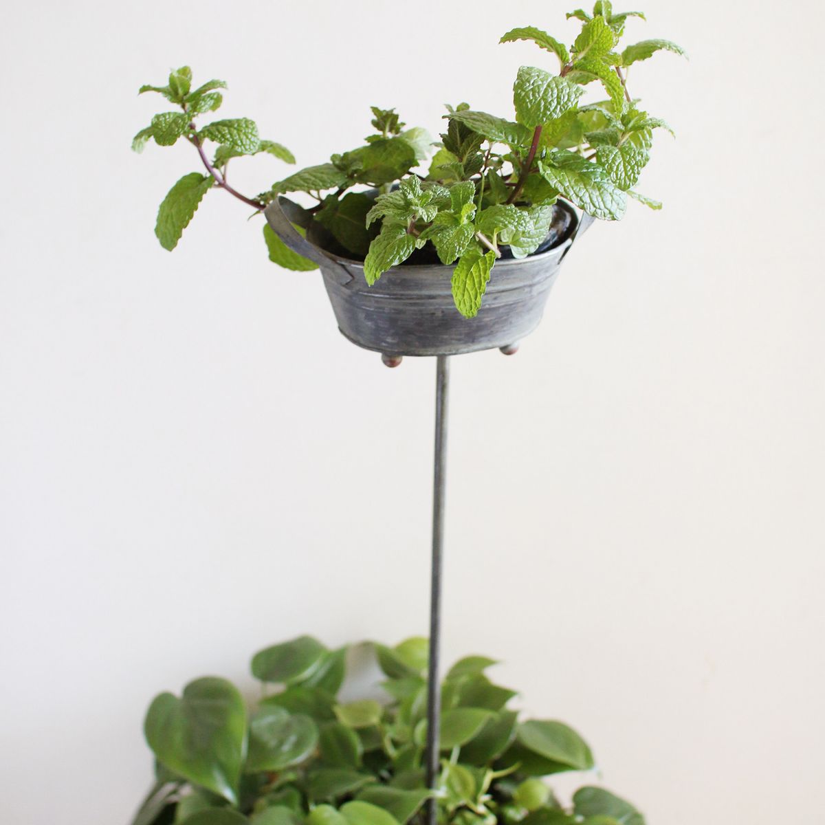 SOW/ブリキガーデンピック オーバルポット/BAGG1003