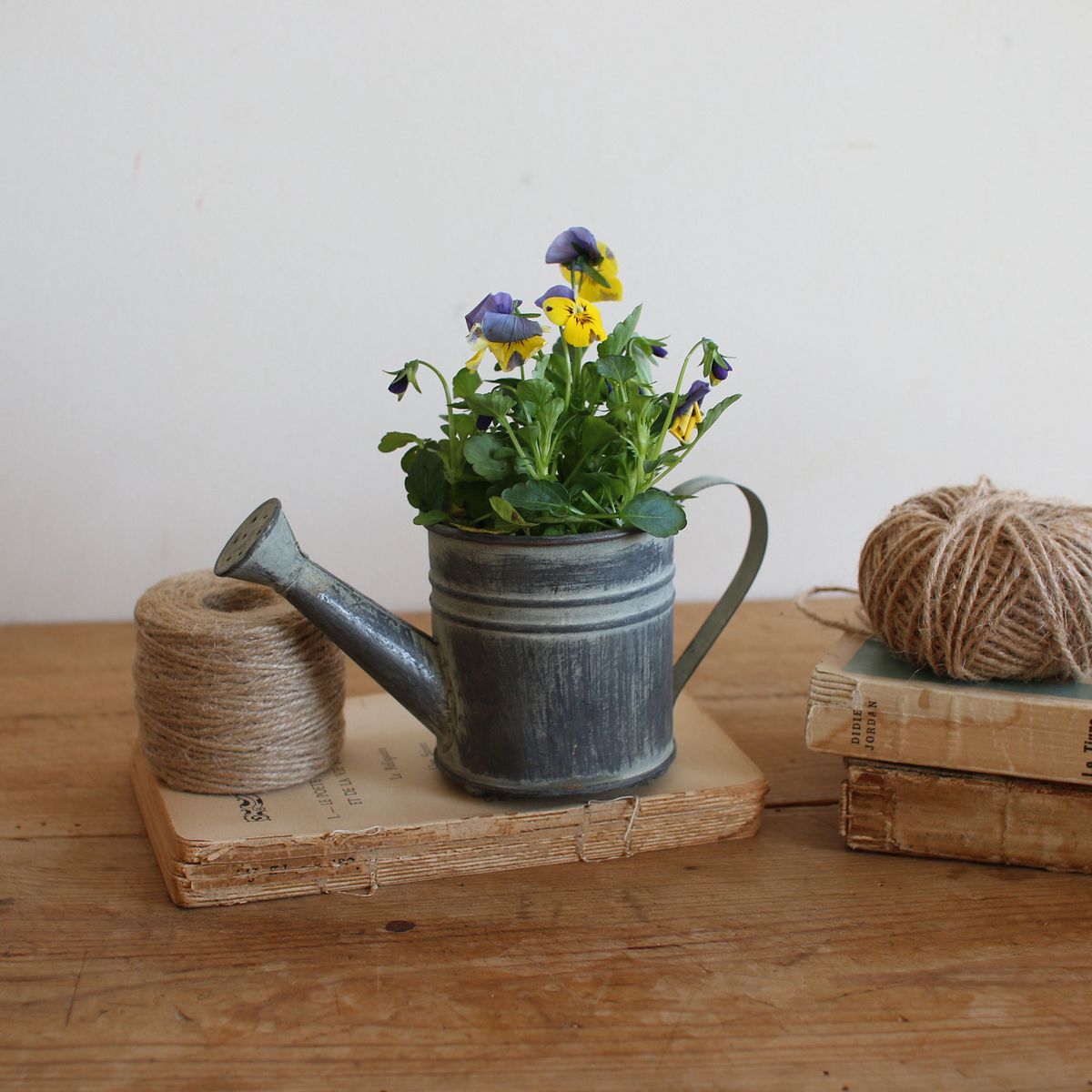 SOW/ブリキガーデンピック ジョーロポット/BAGG1004