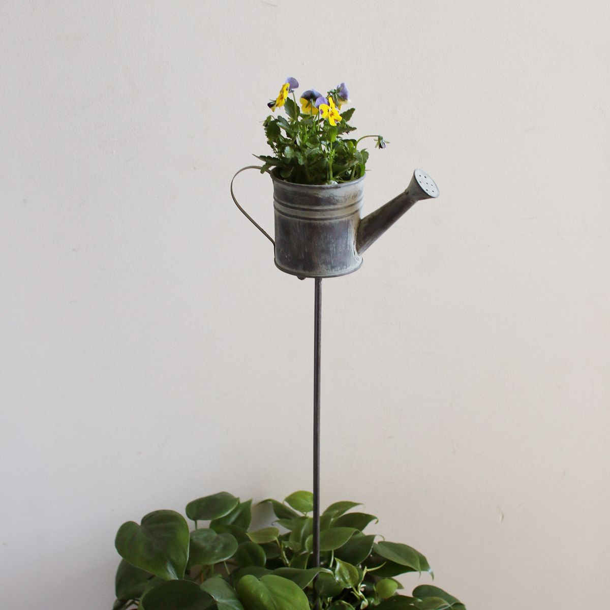 SOW/ブリキガーデンピック ジョーロポット/BAGG1004