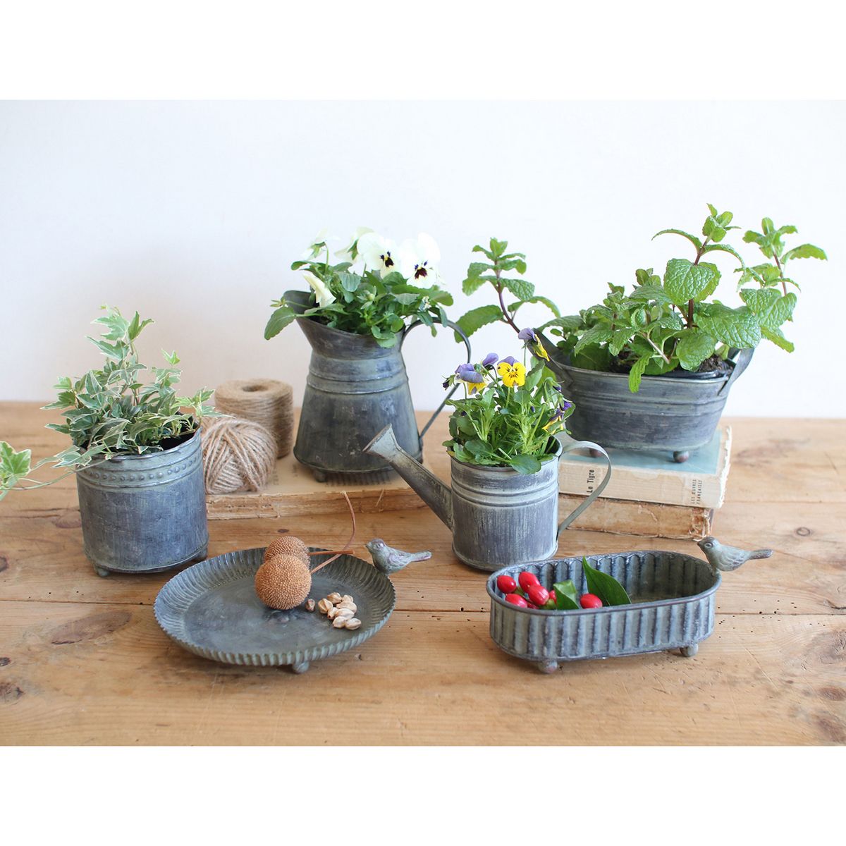 SOW/ブリキガーデンピック ジョーロポット/BAGG1004