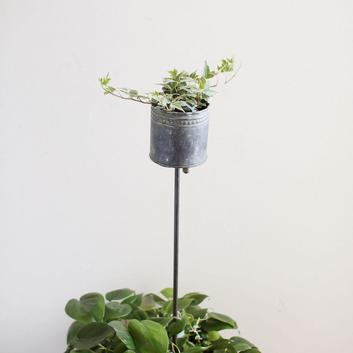 SOW/ブリキガーデンピック ラウンドポット/BAGG1005