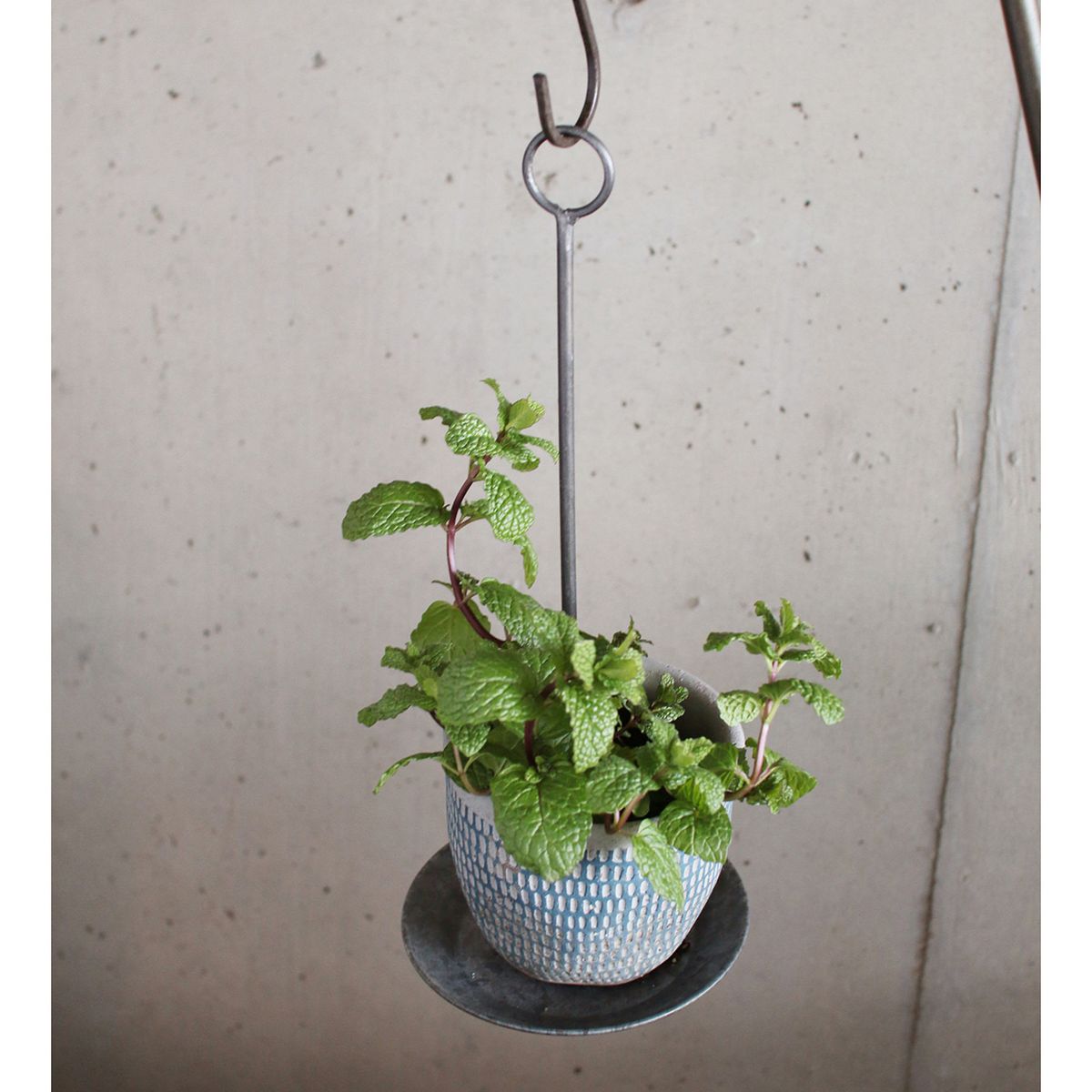 SOW/ブリキハンギングソーサー Sサイズ/BAGT4100S