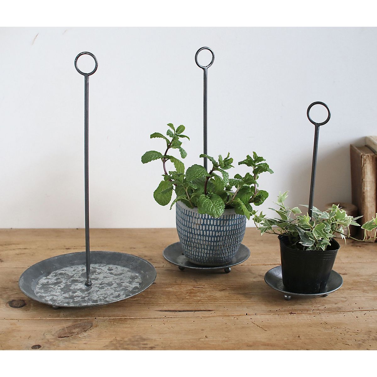 SOW/ブリキハンギングソーサー Sサイズ/BAGT4100S